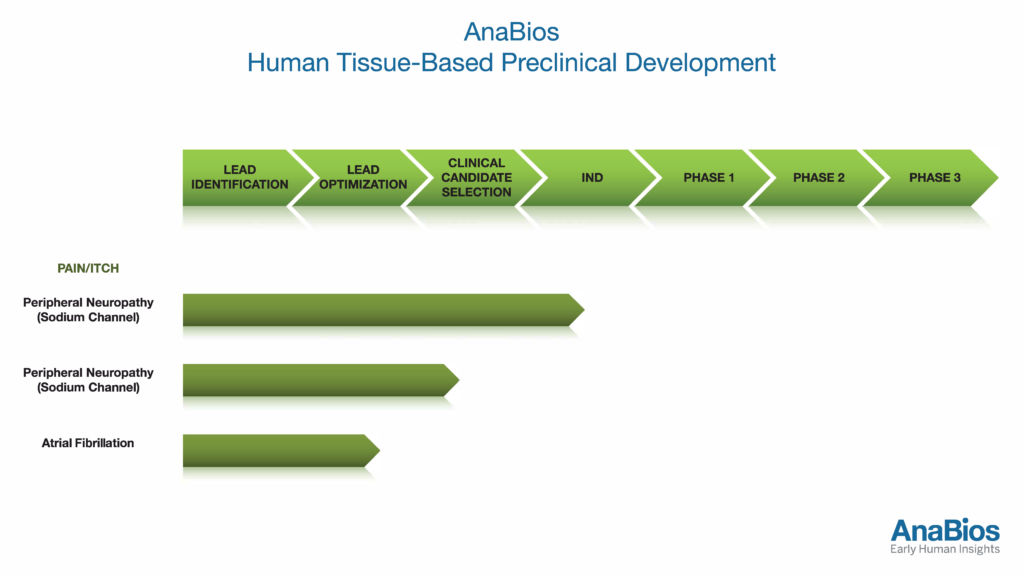 Drug Pipeline Process graphic March2018 – v1