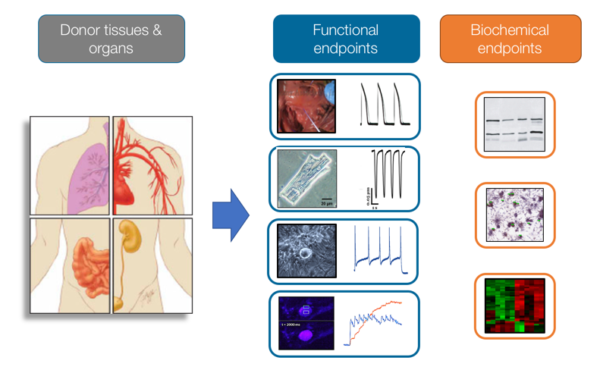 Human Tissue Samples Page