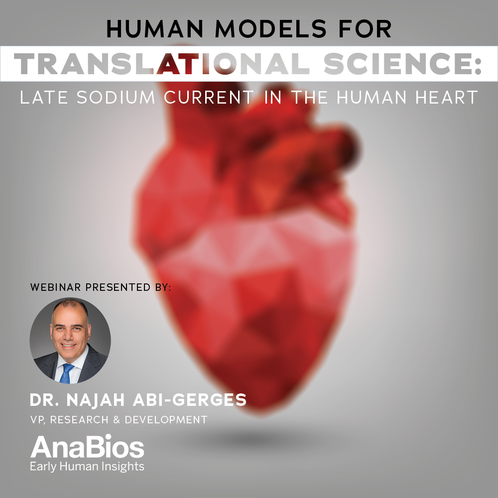 translational-research-webinar-cardiomyocytes-3