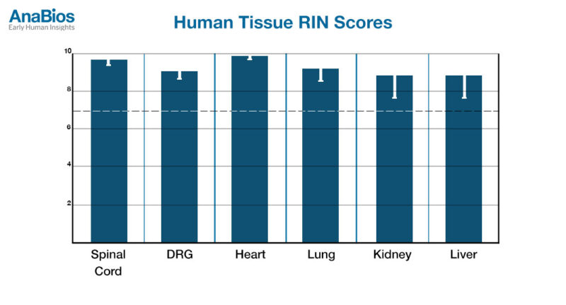 RIN-Score-Chart-update2