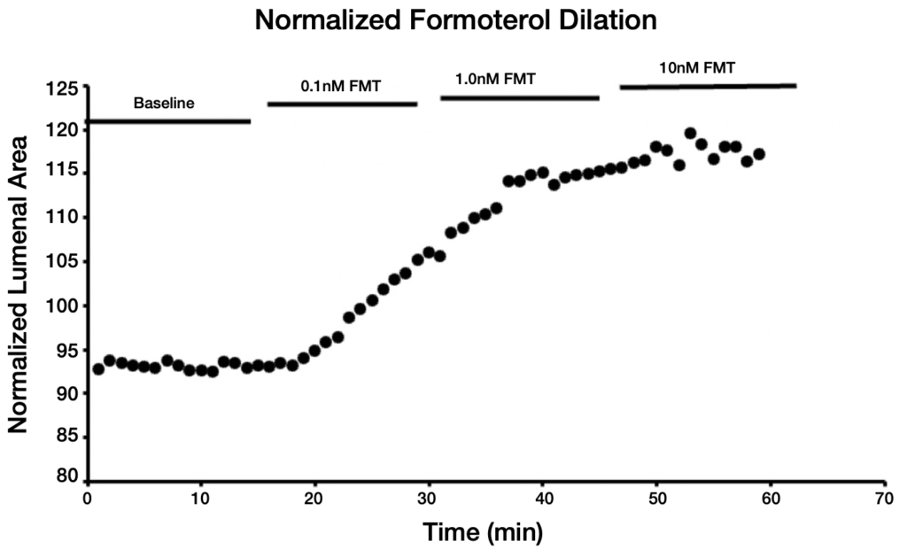 The images illustrates bronchial dilation in response to a drug application.