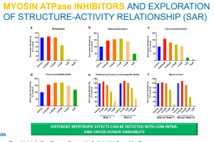 Human Ex Vivo Heart Models For Drug Discovery