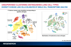 Using Single Cell Sequencing To Identify Distinct Cell Populations From Fibrotic Tissue